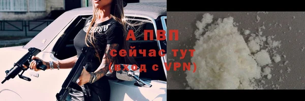 эйфоретик Белокуриха