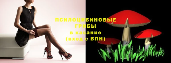 эйфоретик Белокуриха