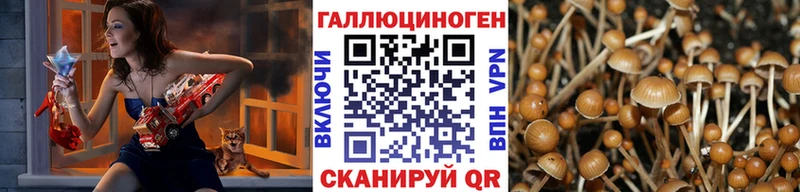 где купить   Севск  Псилоцибиновые грибы MAGIC MUSHROOMS 